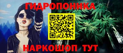 гидра Будённовск
