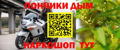 гидра Будённовск
