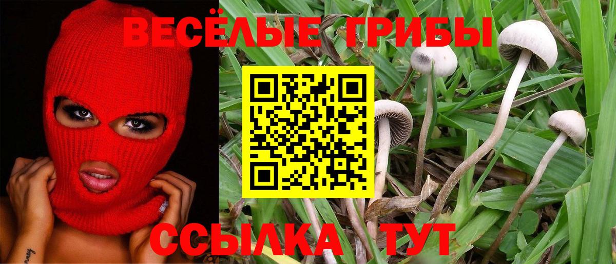 Галлюциногенные грибы MAGIC MUSHROOMS Кубинка