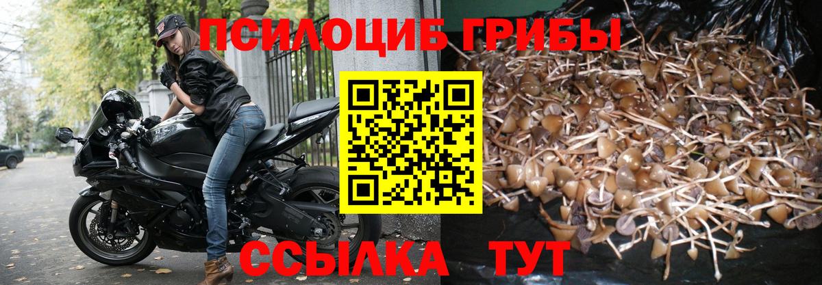 Кубинка  Галлюциногенные грибы Magic Shrooms  Галлюциногенные грибы GOLDEN TEACHER  Вход с VPN 